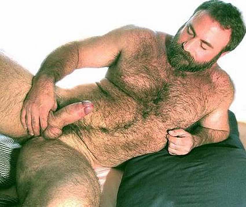 Порно Волосатые Медведи